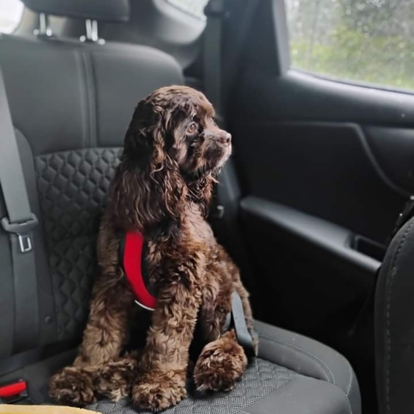 Meet your Posher, Malinda - Picture 2 of 2